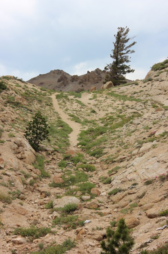 Steep section of trail