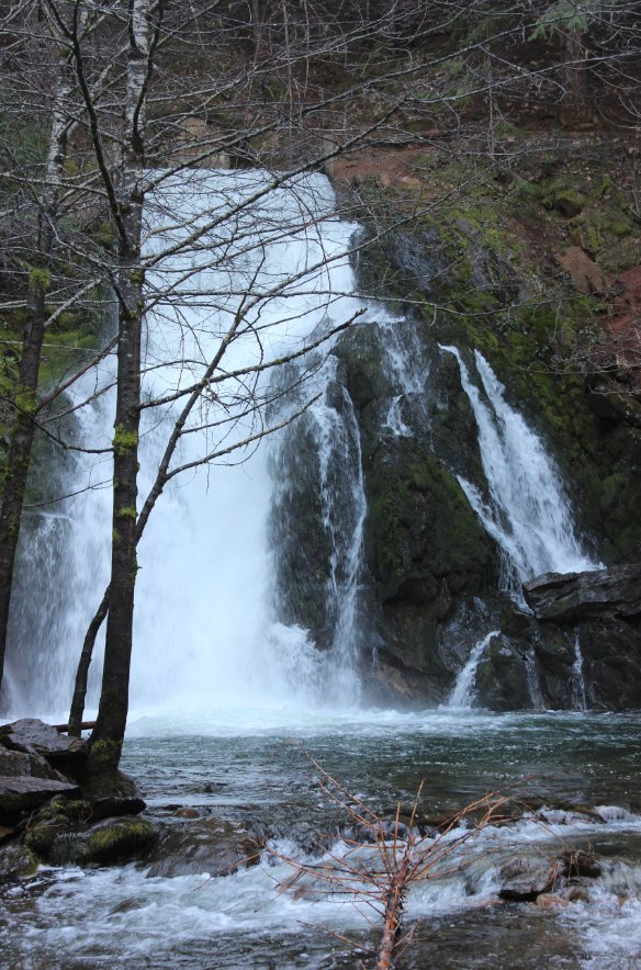 Park Creek Falls