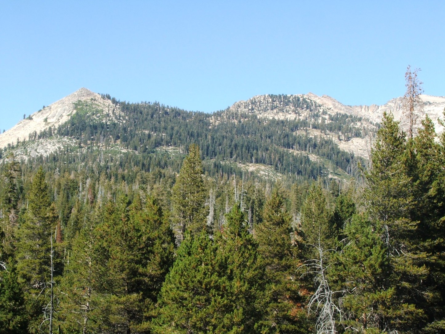 Mountain view of Crystal Range