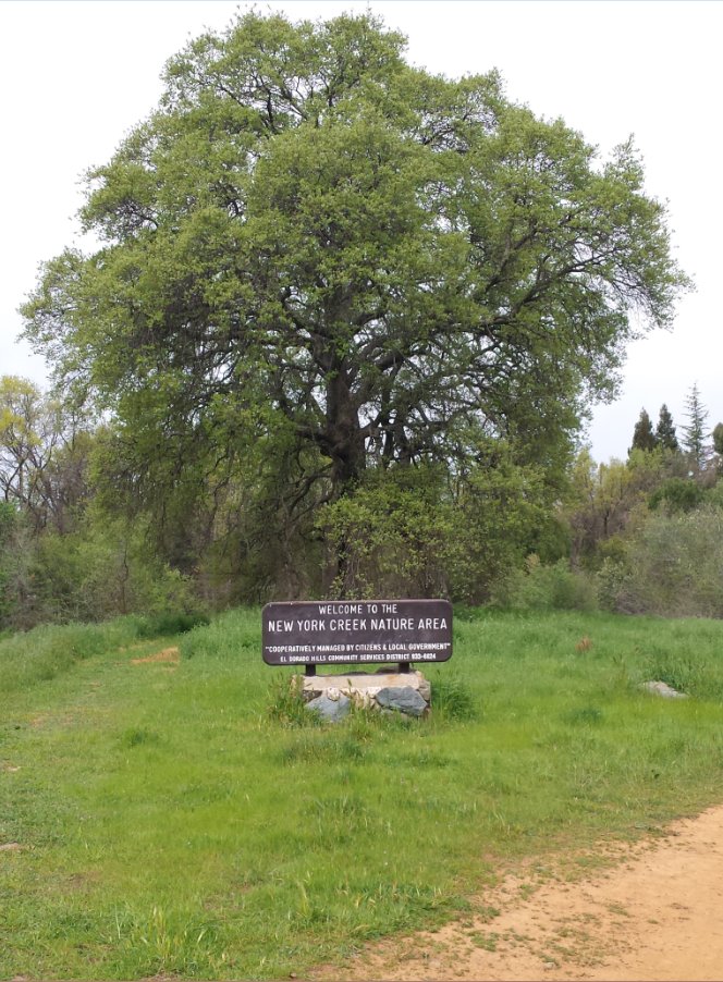New York Creek Nature Area sign