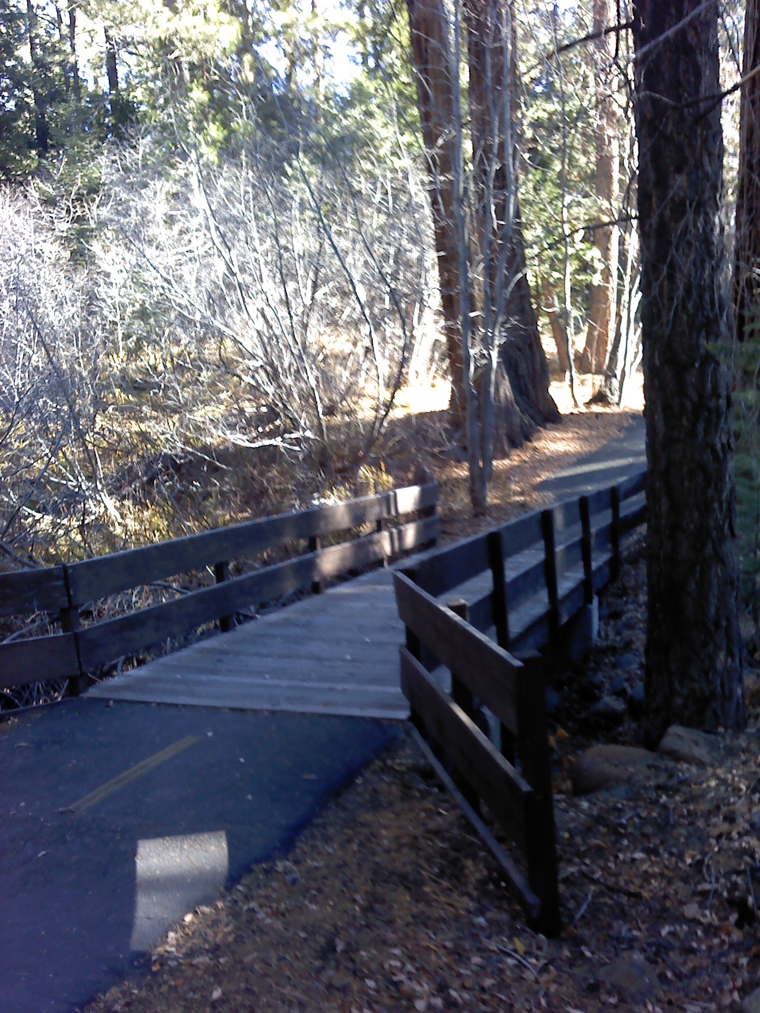 Pinedrop trail bridge