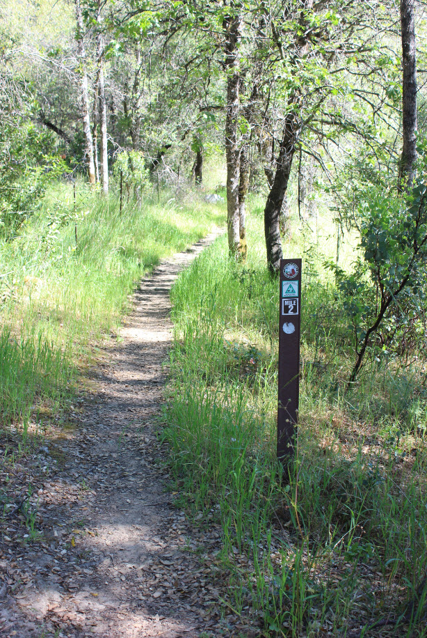 Sample trail