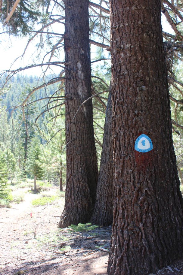 Trail markers