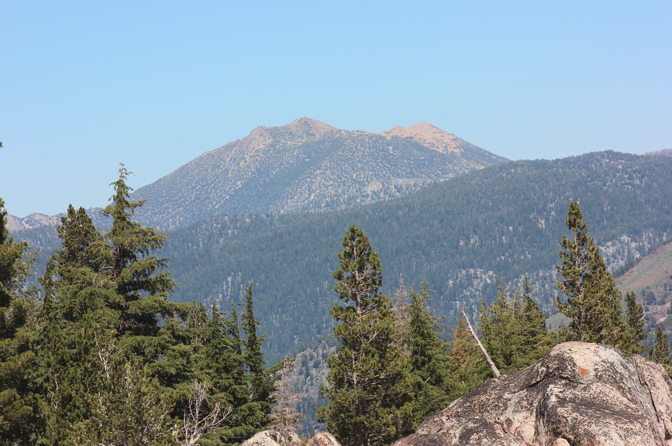 Freel Peak
