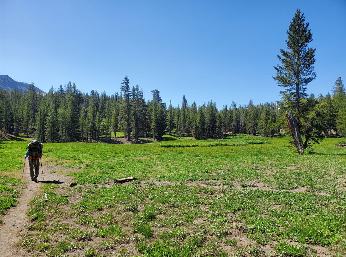 Upper Gardner Meadow
