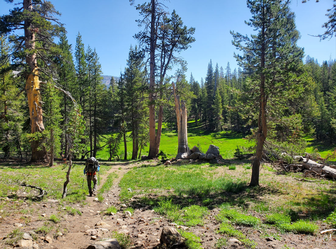 Closing in on the PCT