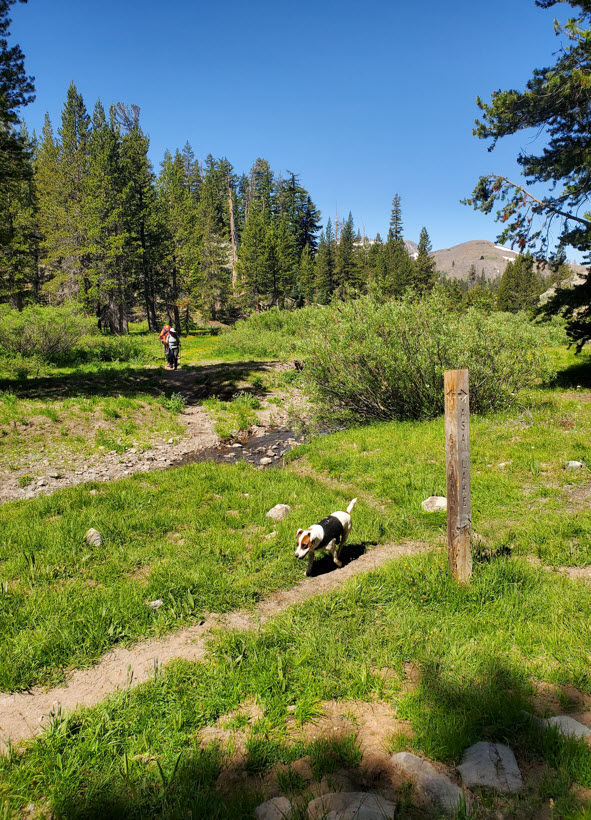 Climbing the PCT