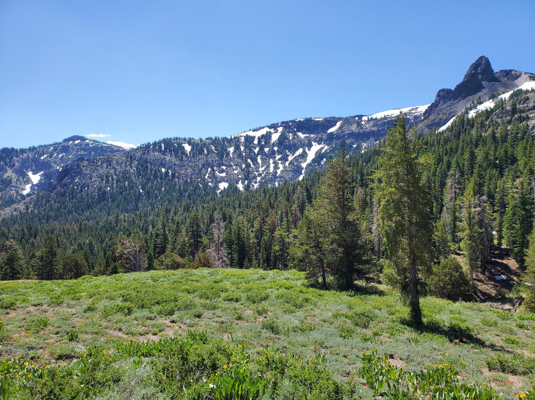 Spectacular Views