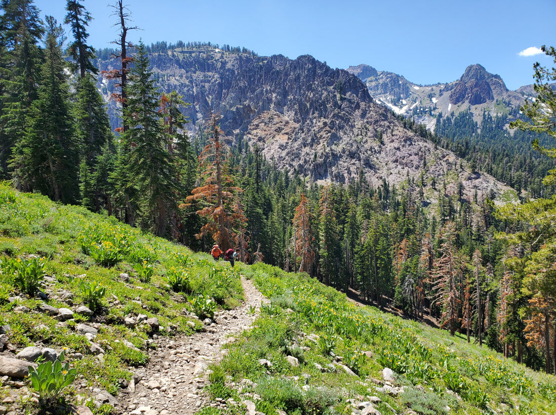 PCT south