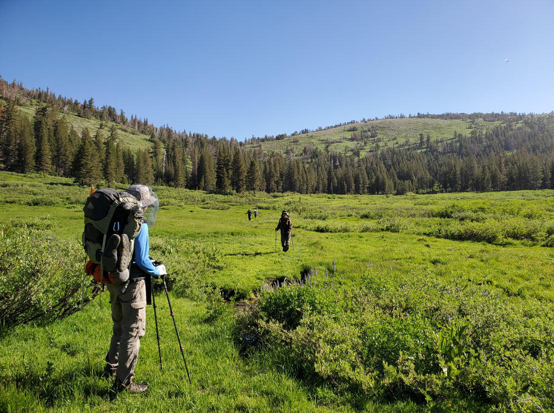 Through the valley