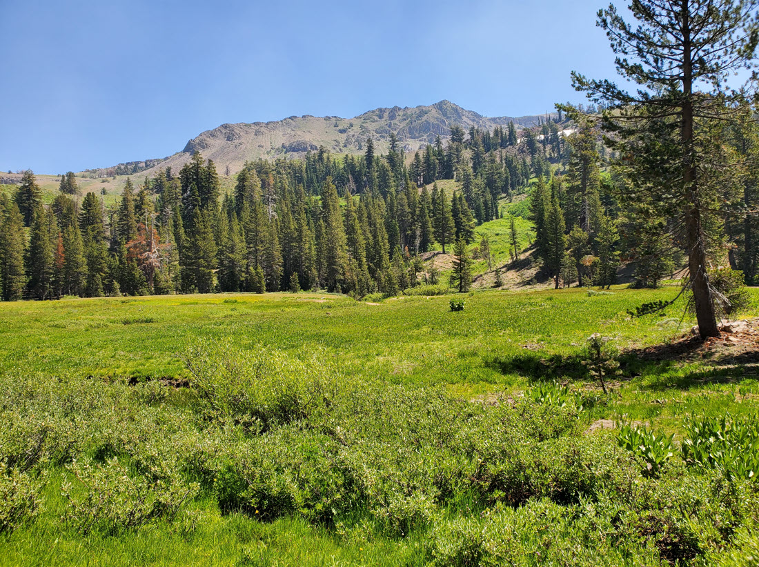 Through the valley