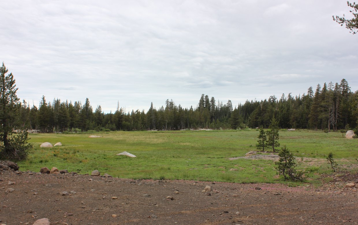 Allen Camp Meadow