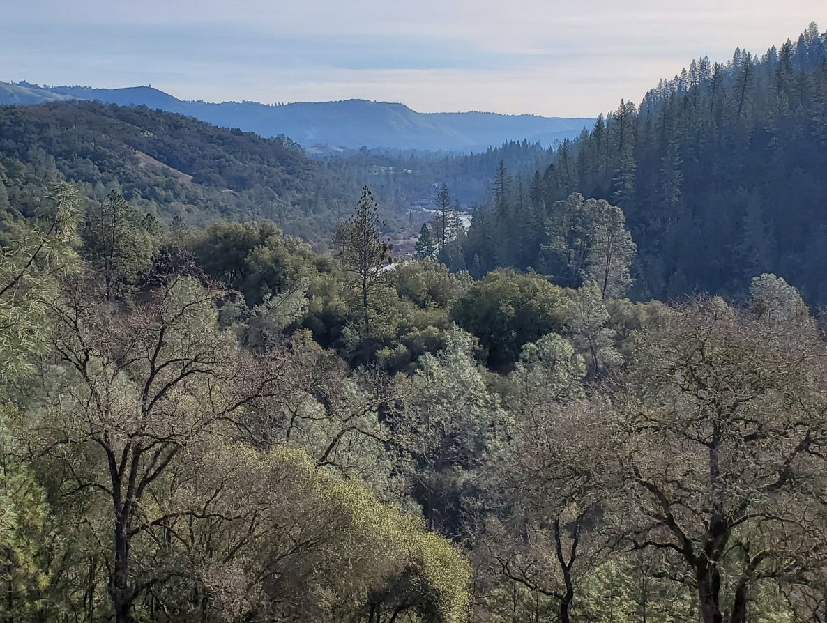 Sierra view
