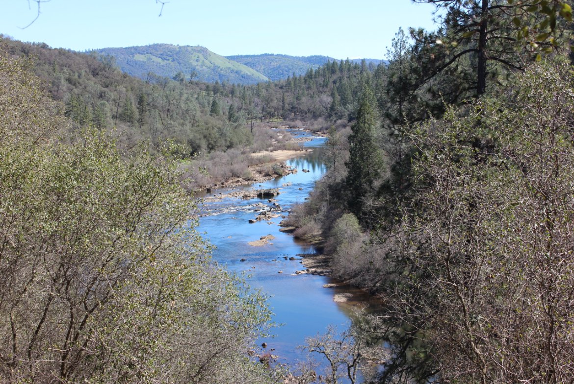 Overlook view of the river