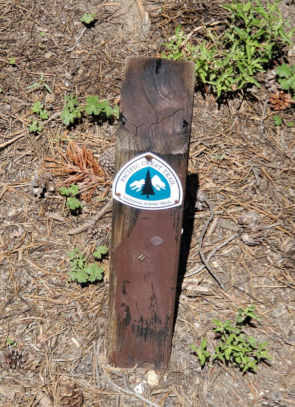 PCT marker