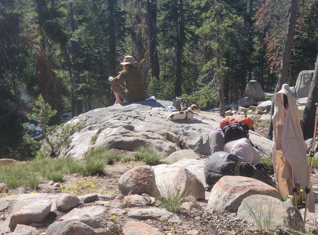 Snack spot