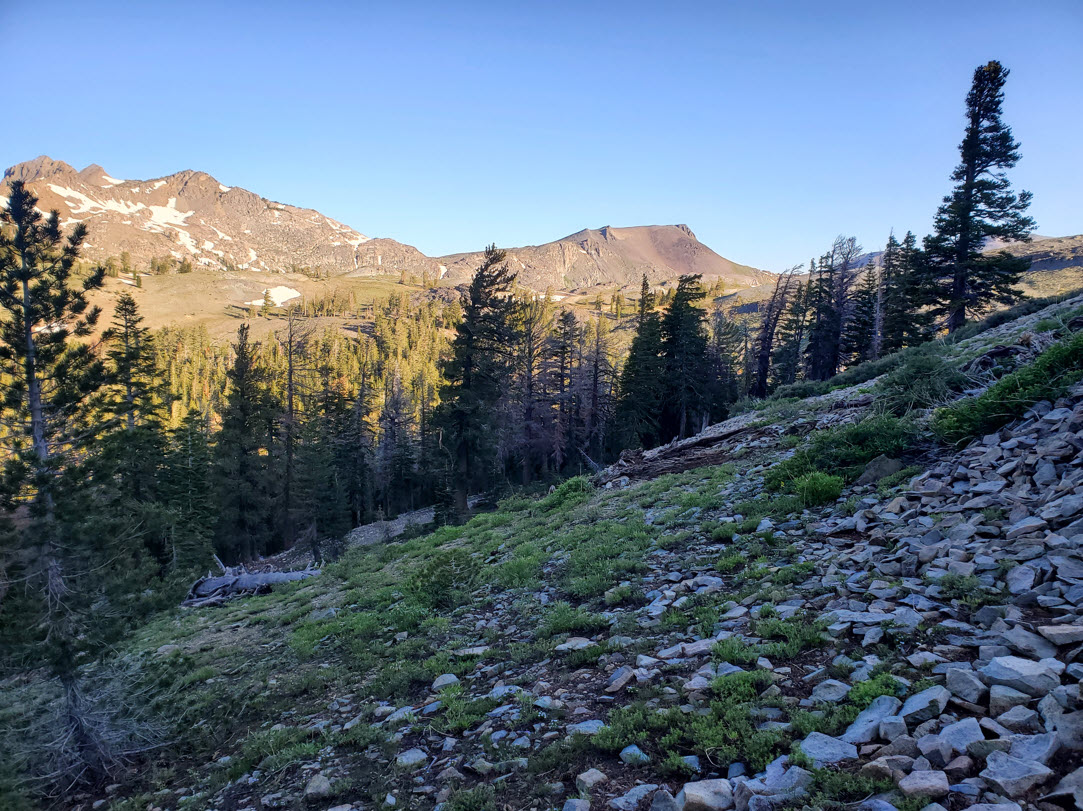 Early morning