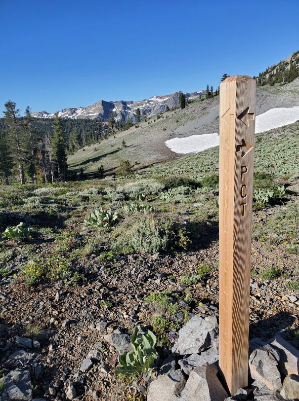 PCT Marker