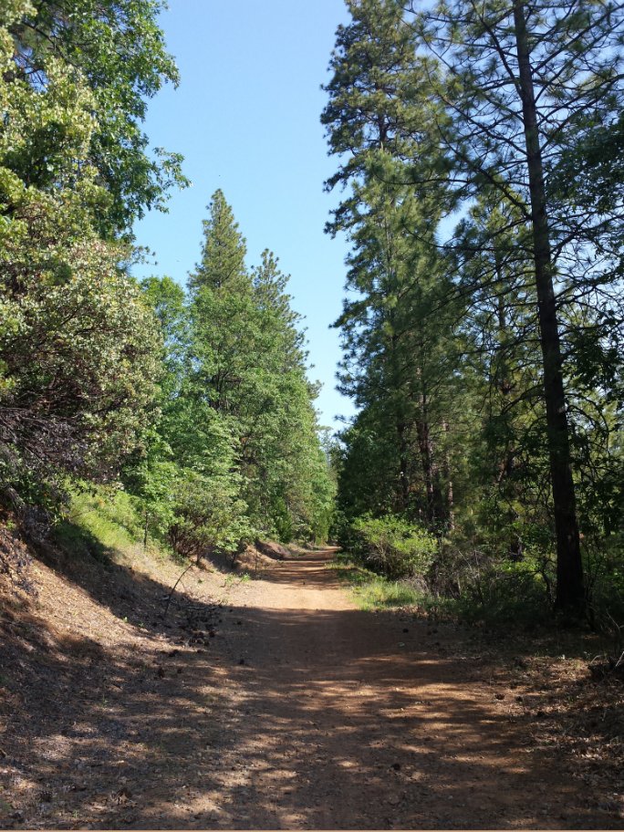 Camino Trail