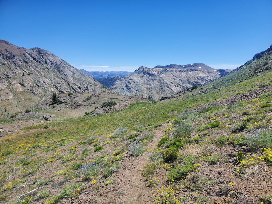Down from the peak