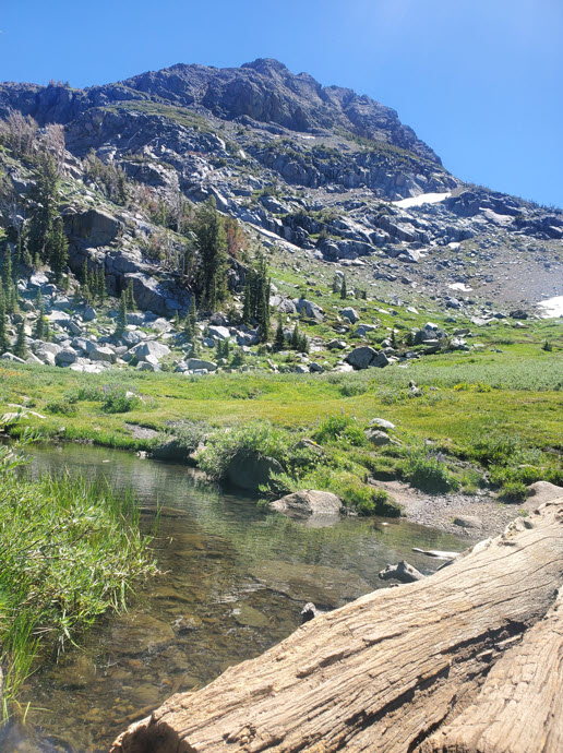 Log crossing