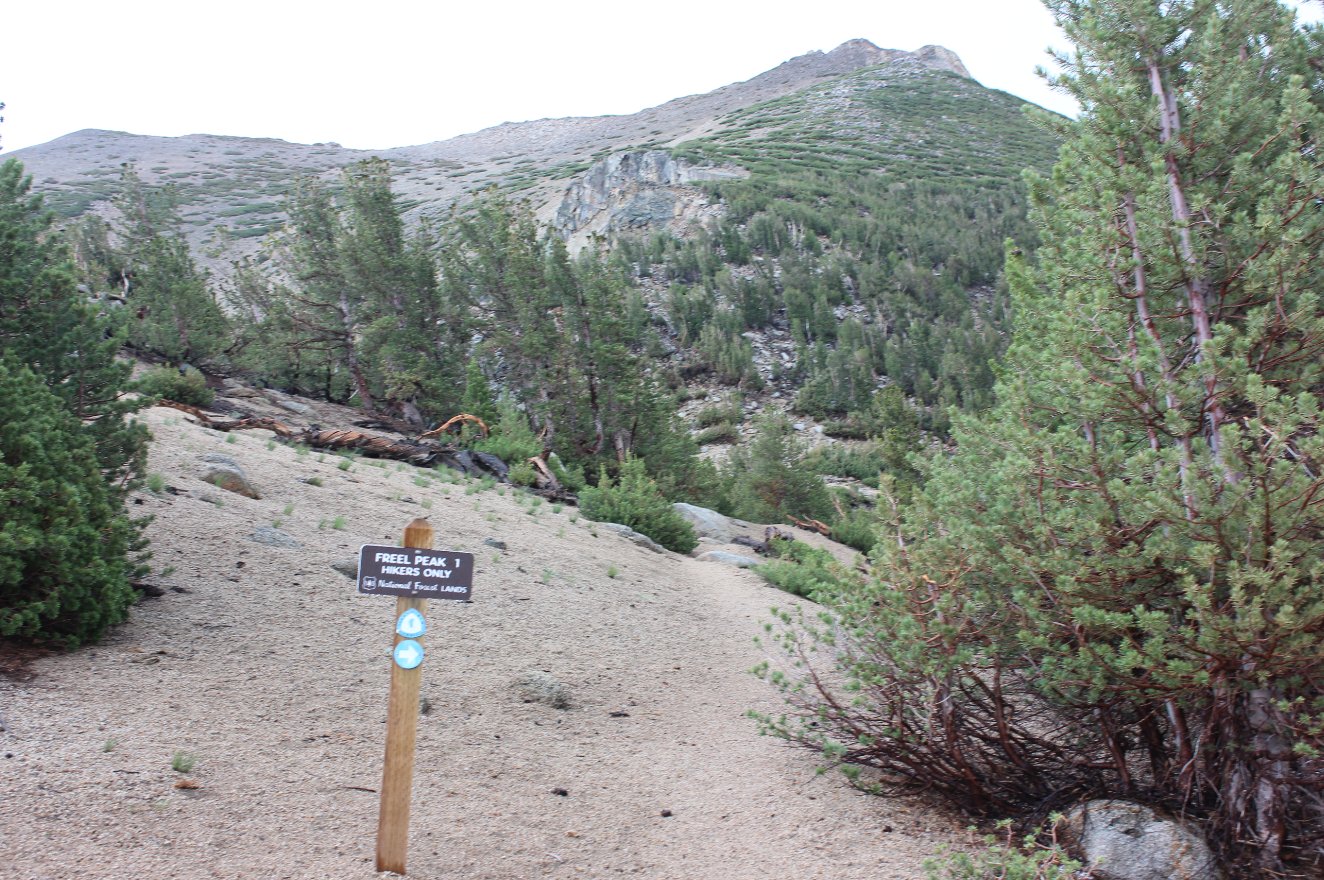 The turnoff toward Freel Peak