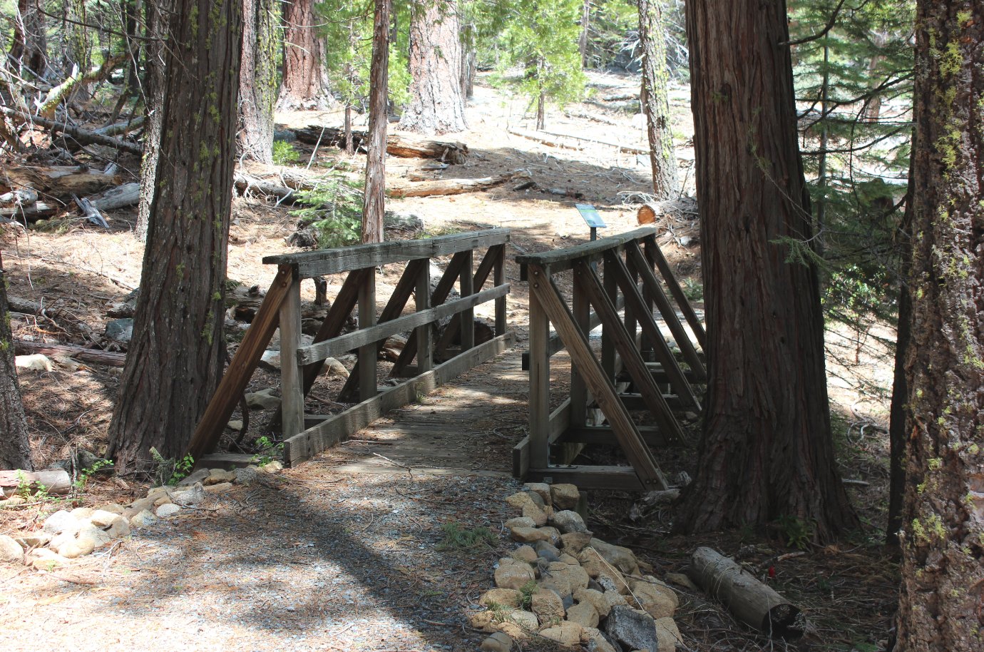 Bridge on the trail
