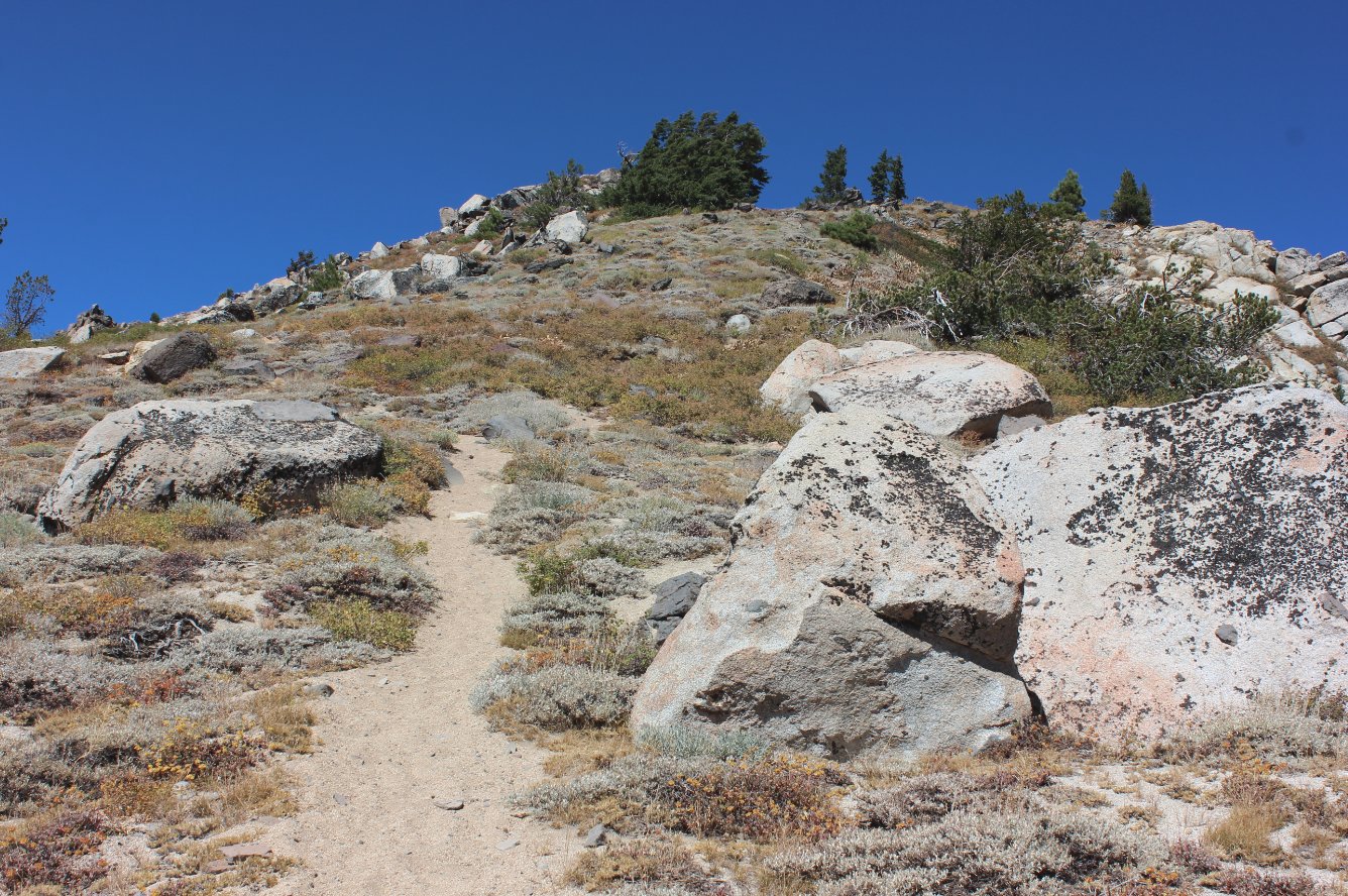 Use trail to the top