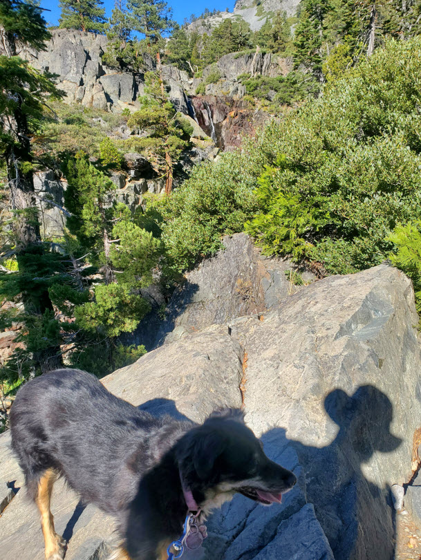 Lots of rocks