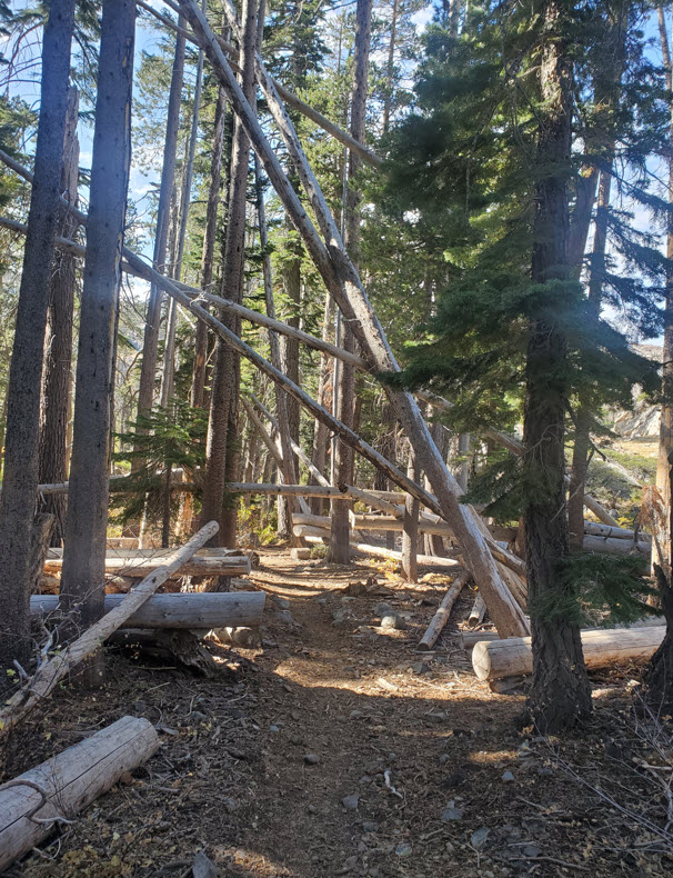 Trail Maintenance