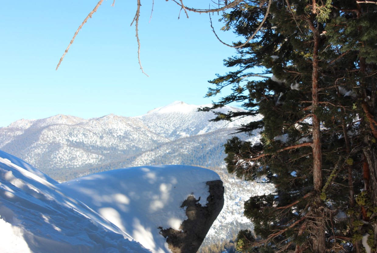 Freel Peak in the distance