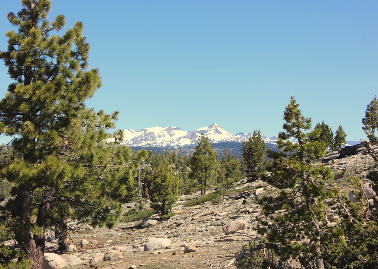 Crystal range from the trail