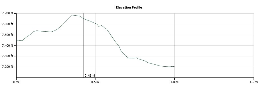 Lake Shealor Elevation Profile