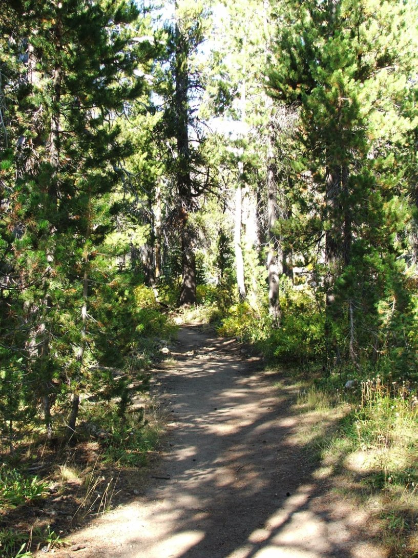 Typical scene on the trail