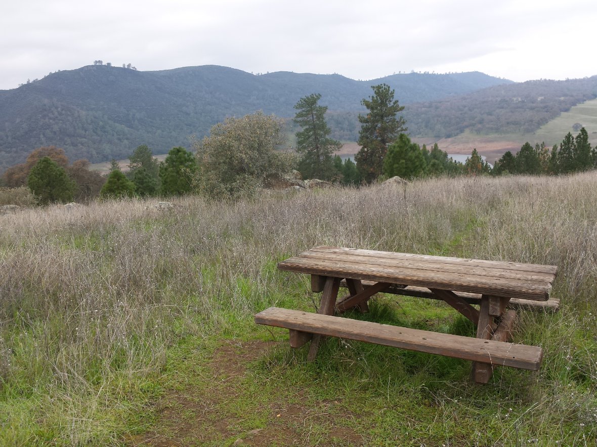 Abandoned picnic area