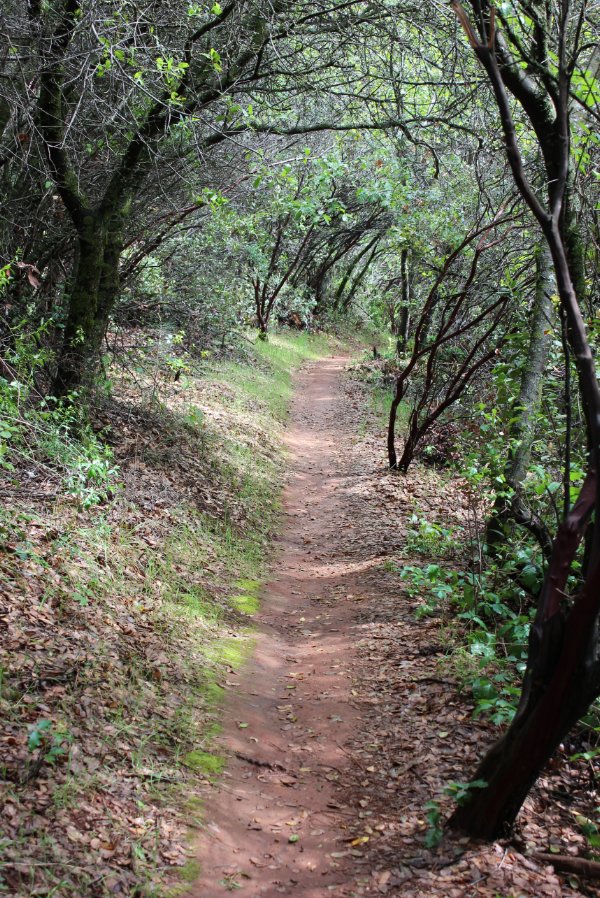 Trail example