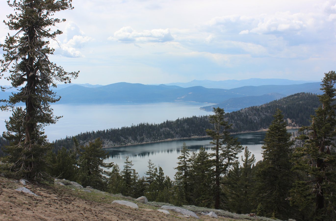 Another Marlette Viewpoint