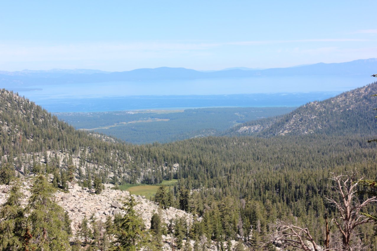 Tahoe vista