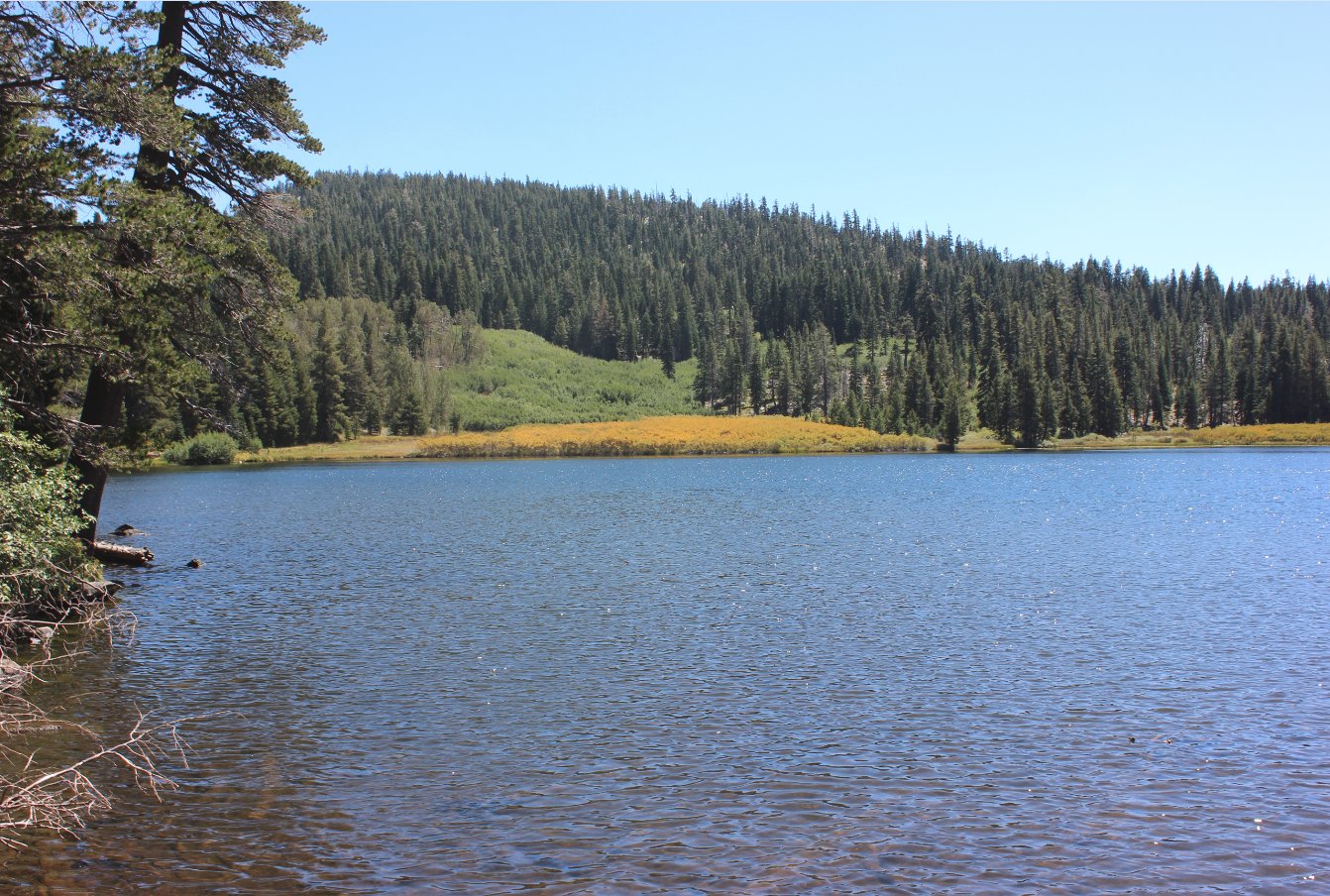 Richardson Lake