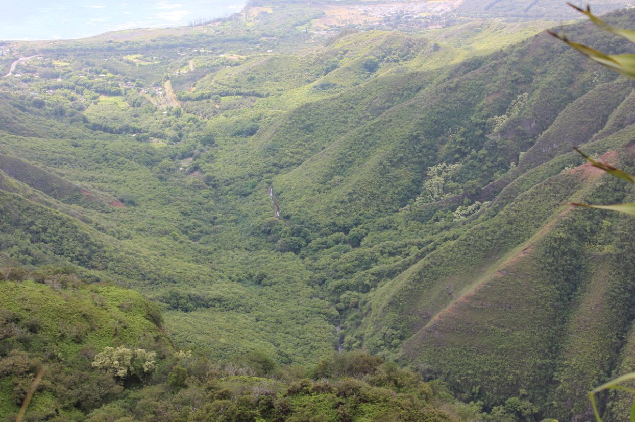 View of Waihee Valley on way back down