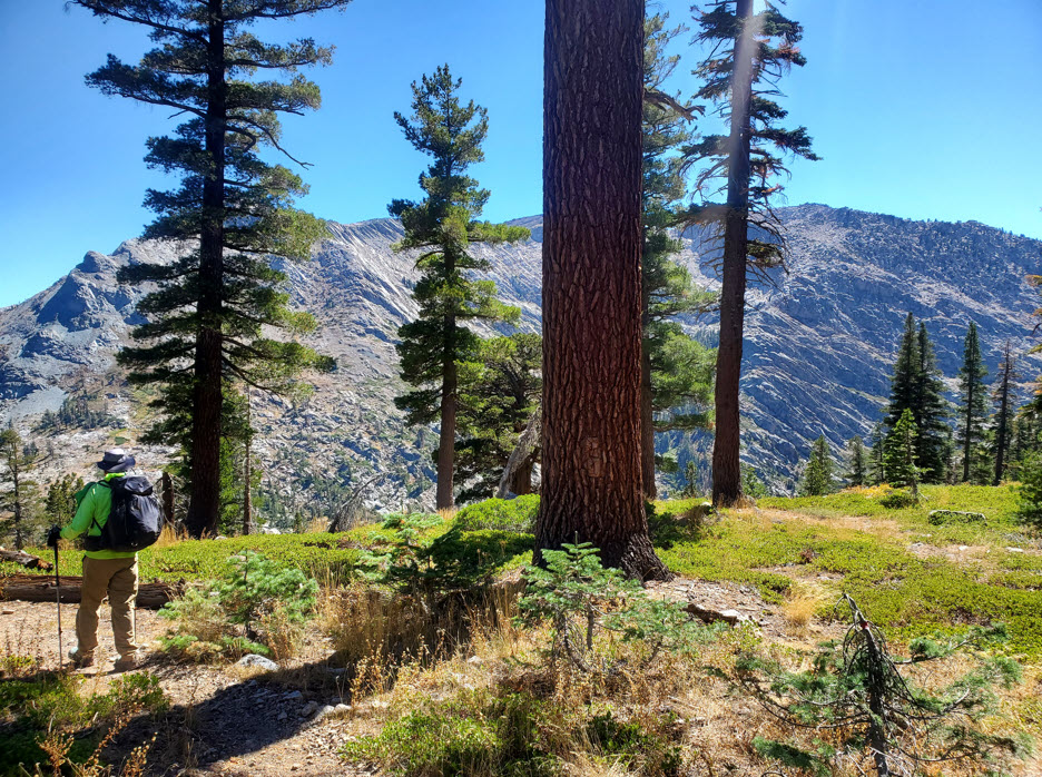 Rugged Terrain