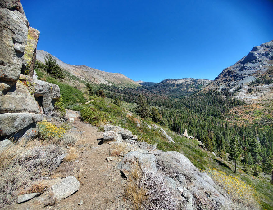 Forestdale Divide Trail
