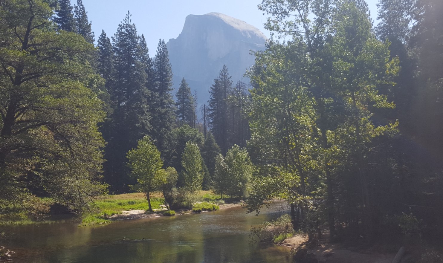 Halfdome from the valley floor